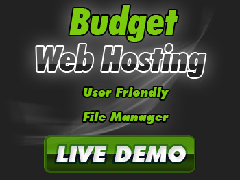 Website Hosting